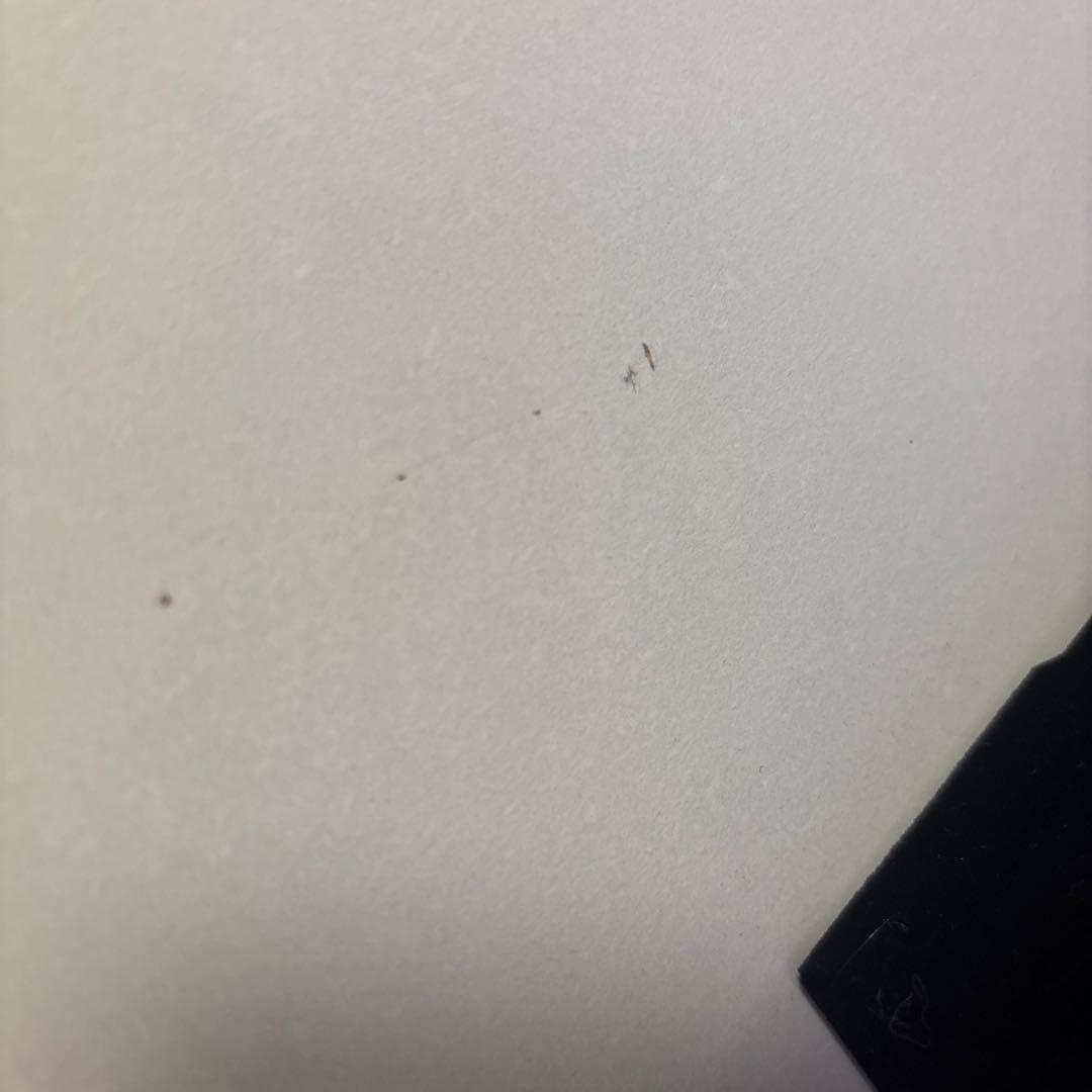 こたつテーブル 約80cm 写真ご確認下さい