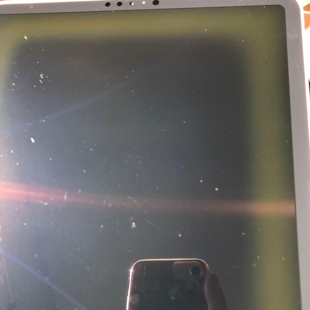 【完動品】iPad Pro 11 第1世代 256GB SIMフリー 【発送】