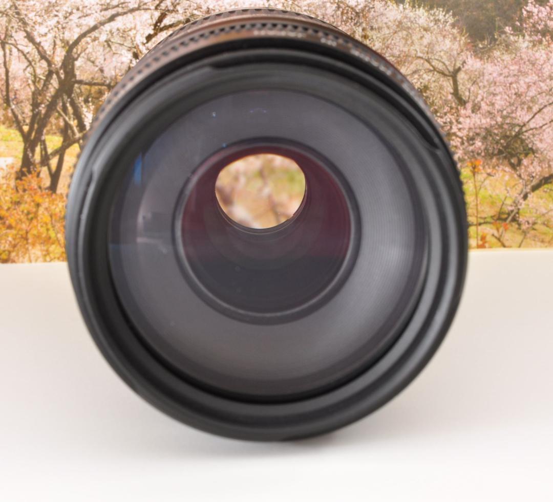 望遠はここから！ Canon キヤノン 望遠レンズ EF75-300mm #9