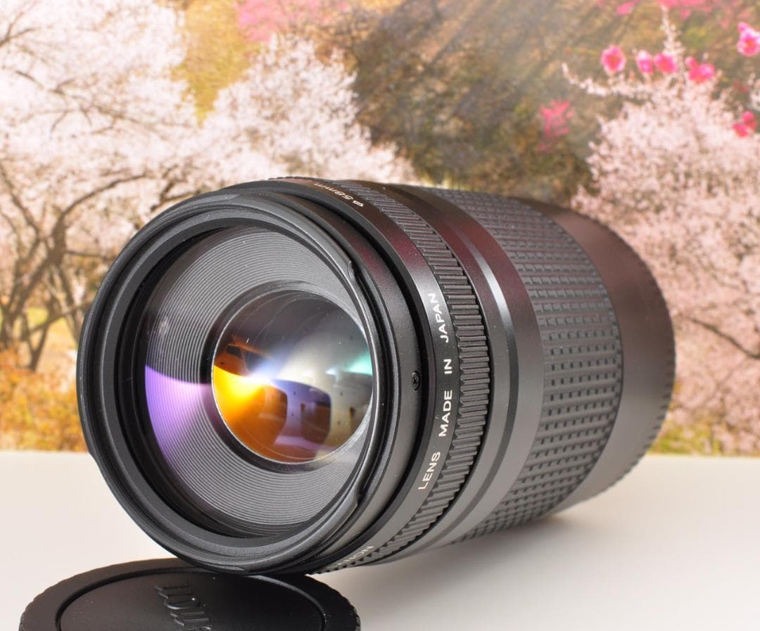 望遠はここから！ Canon キヤノン 望遠レンズ EF75-300mm #9