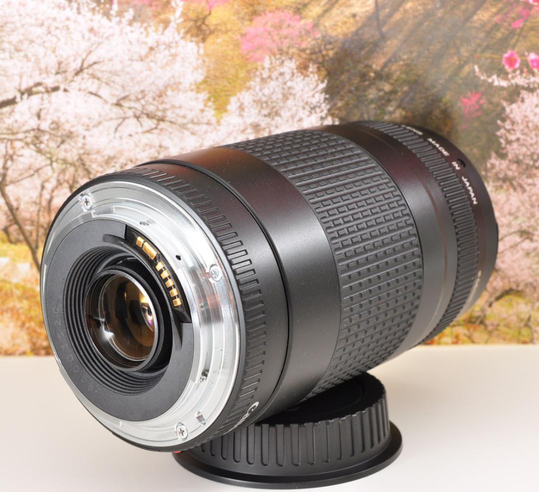 望遠はここから！ Canon キヤノン 望遠レンズ EF75-300mm #9