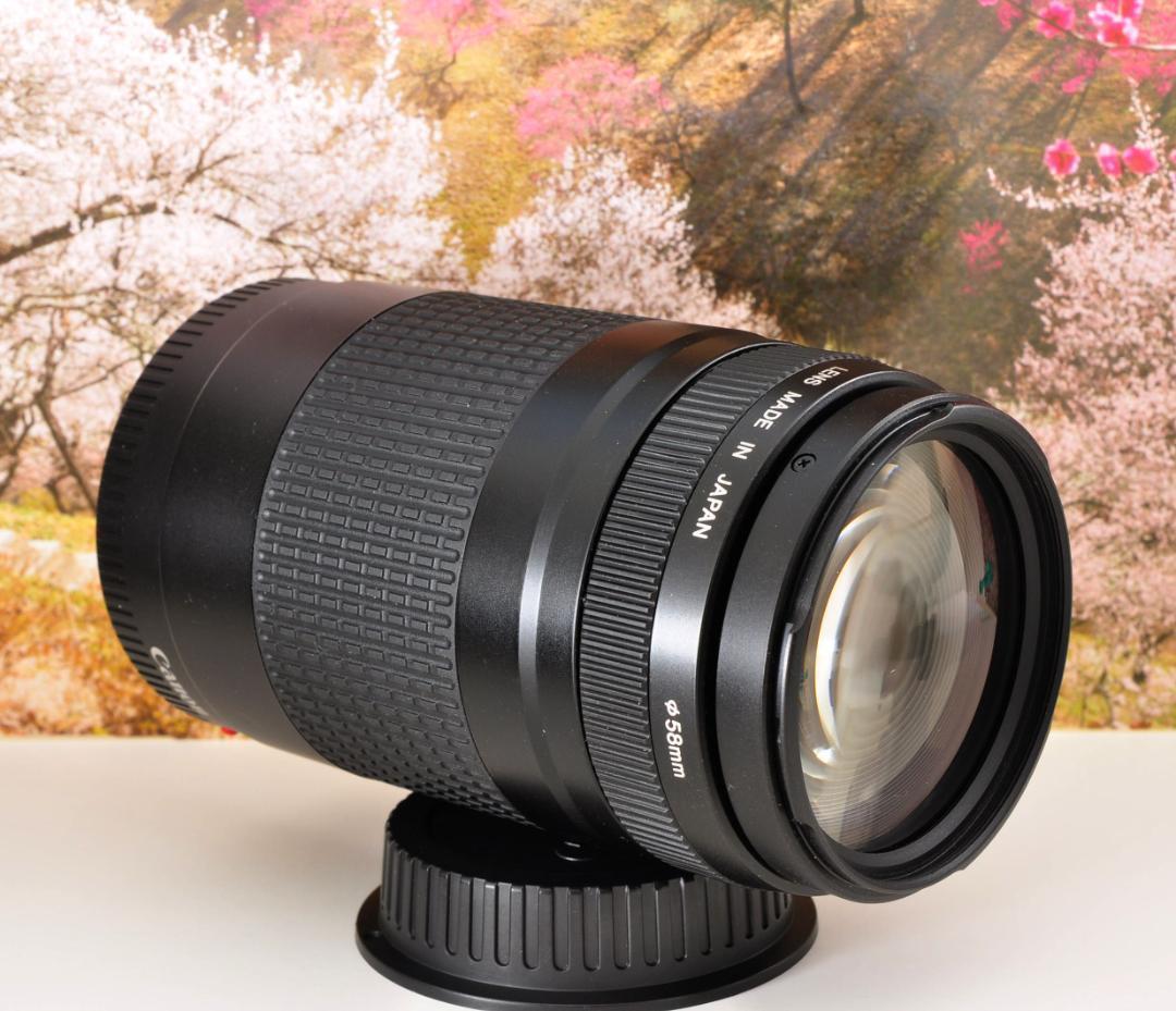 望遠はここから！ Canon キヤノン 望遠レンズ EF75-300mm #9