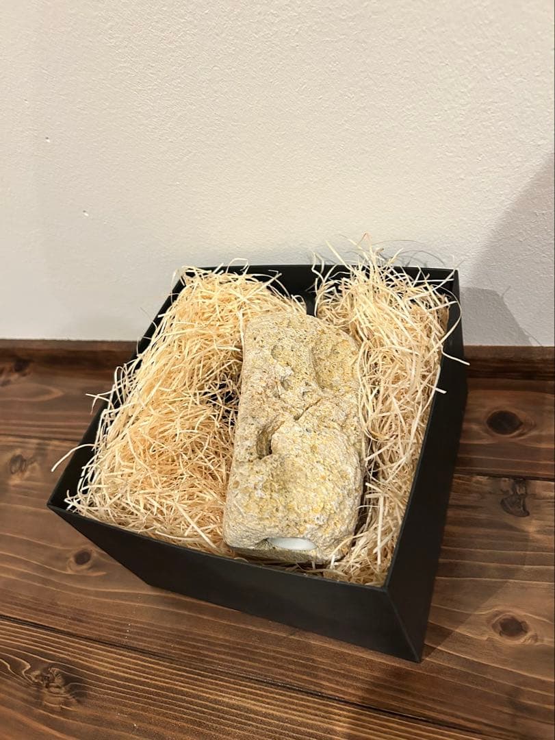 新品　more light モアライト　ライトイヤーズ