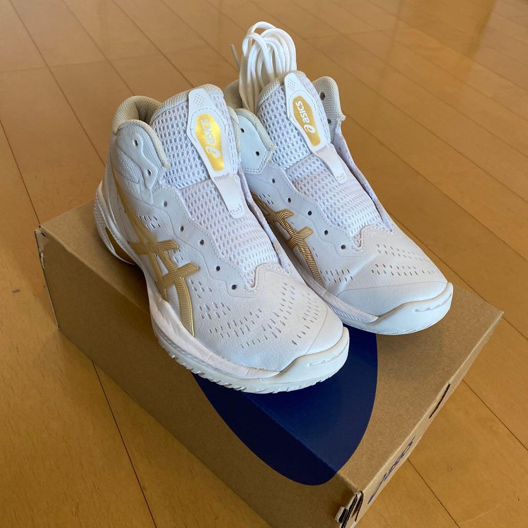 新品 希少 アシックス GELHOOP V16 ゲルフープ 限定カラー バッシュ