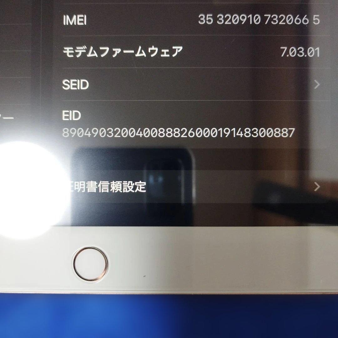 iPad 第7世代 セルラーモデル 32GB