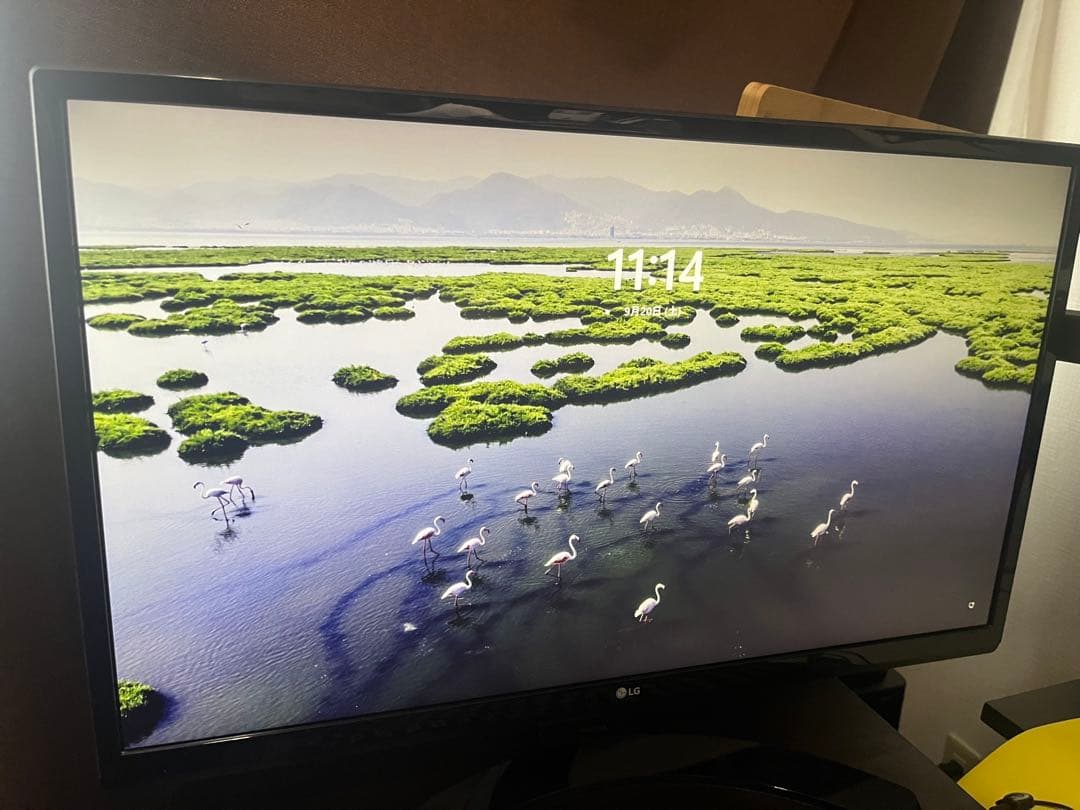 LG モニター ディスプレイ　4K/23.8インチ 24UD58-B