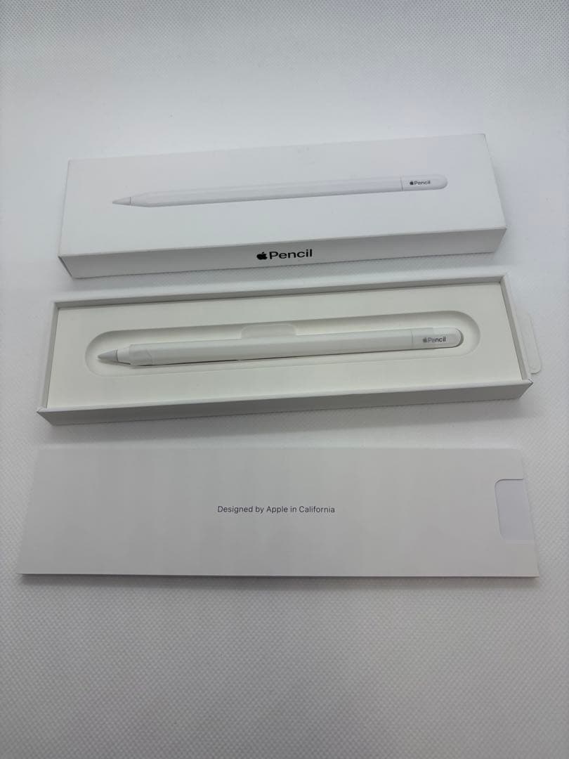 Apple Pencil USB-C アップル純正品