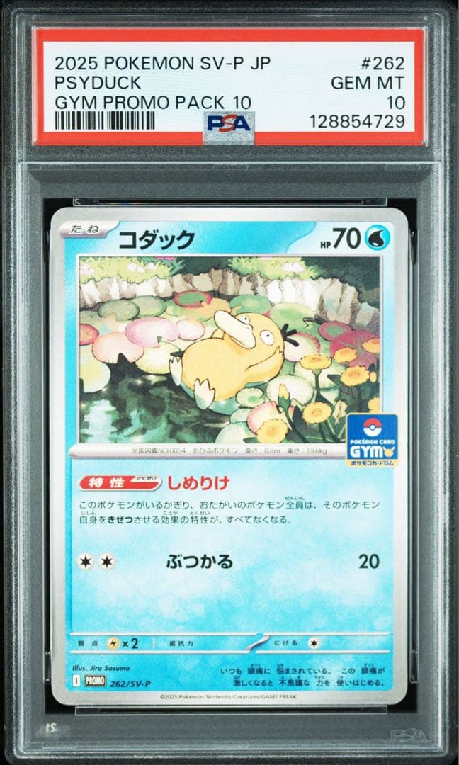 【PSA10】コダック ジムプロモ しめりけ Psyduck 6連番