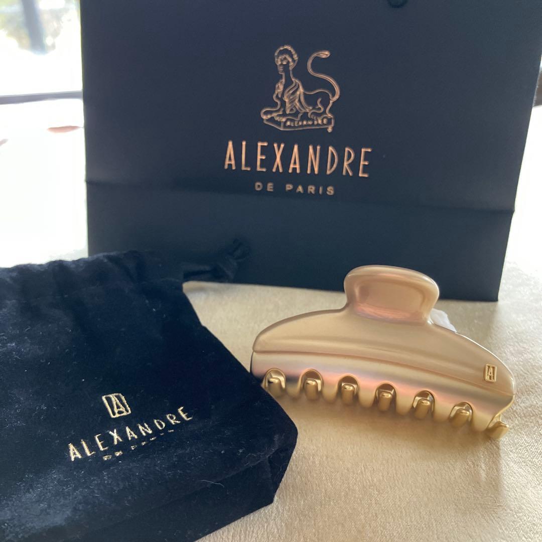 【セール】ALEXANDRE DE PARIS ヘアクリップ【新品】