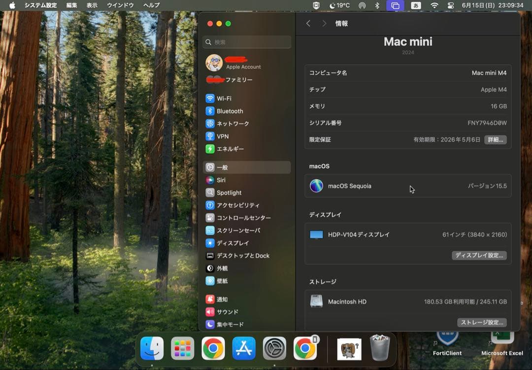 Macデスクトップ M4 Mac mini. 16GB/256GB