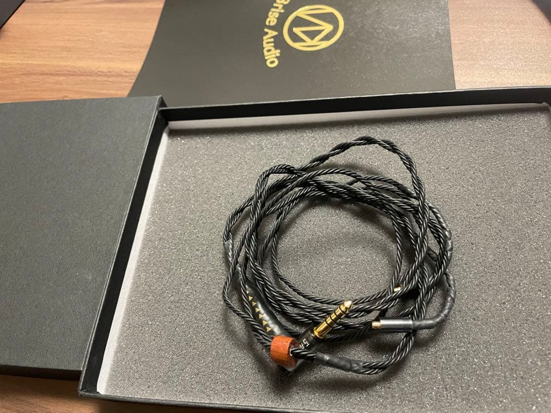 Brise Audio ASUHA Ref.2 Pentaconn ear 標準