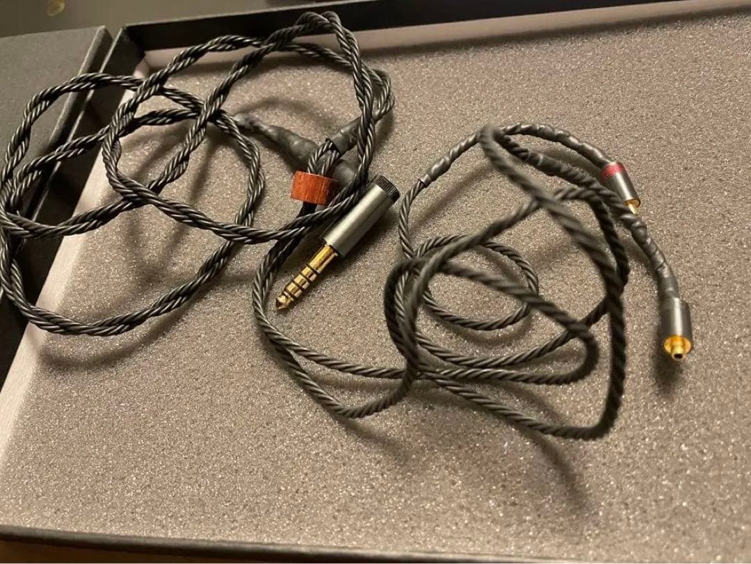 Brise Audio ASUHA Ref.2 Pentaconn ear 標準