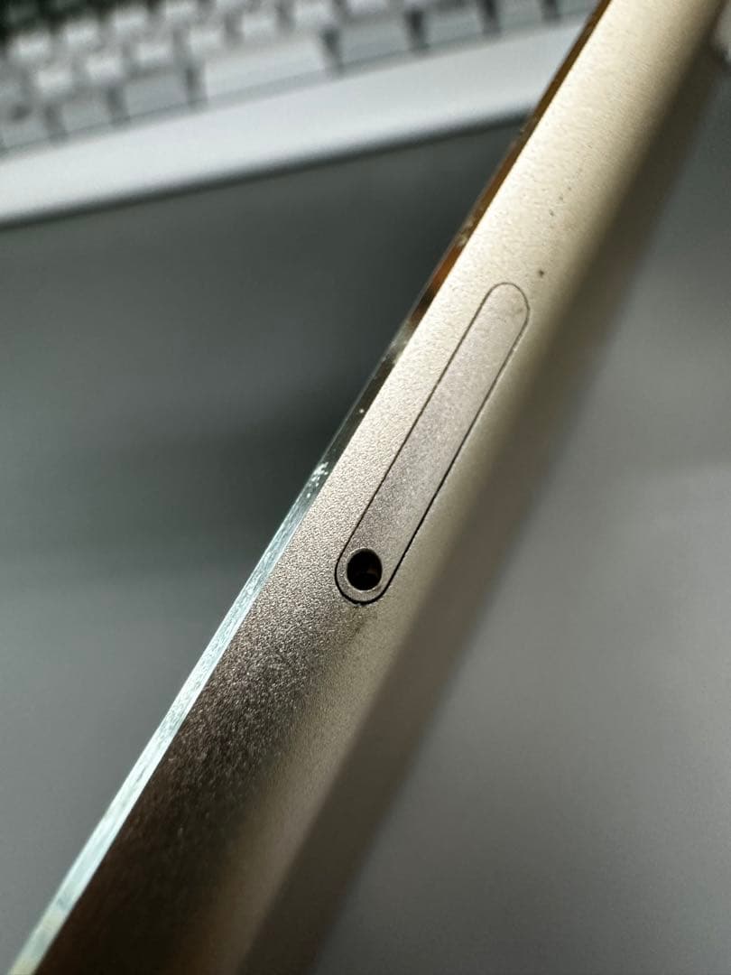 iPad mini4 Wi-Fi + Cellular ゴールド　Apple