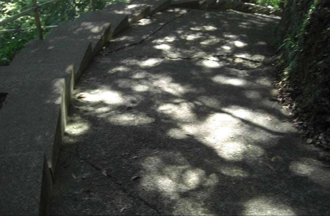 CASIO EXILIM EX-Z1050 デジカメ