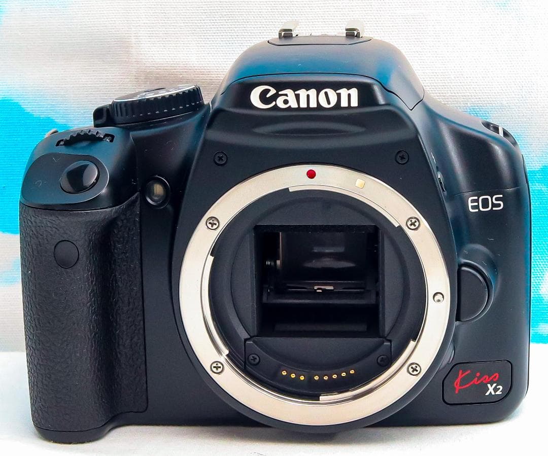 キャノン Canon Kiss x2⭐️一眼レフ⭐️スマホに転送⭐️初心者の方に