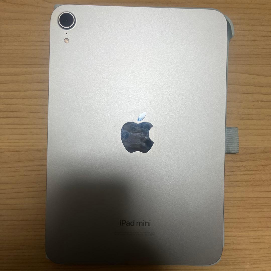 Apple iPad mini 本体　バッテリー96%
