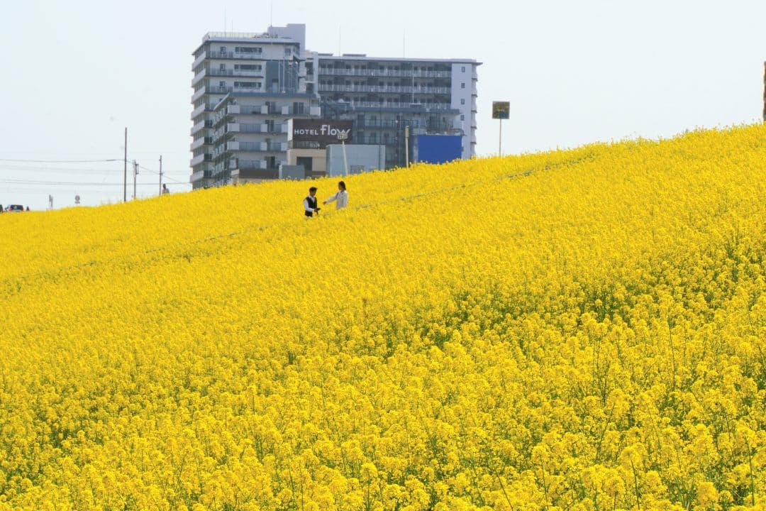 SONY　SEL18200LE　E-mount