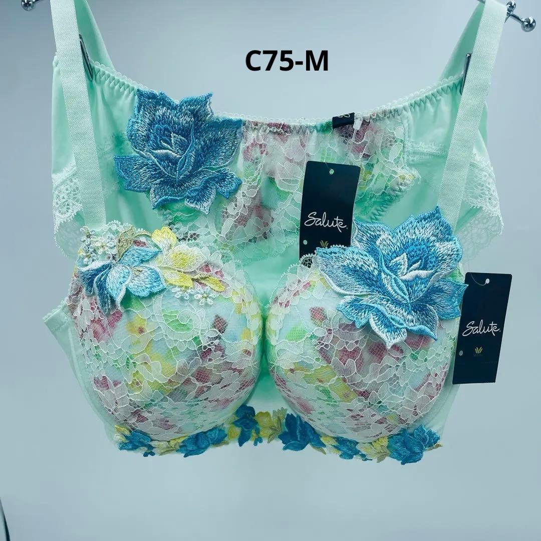 ワコール サルート 32G P-upタイプ 無邪気な少女が淑女へC75-M