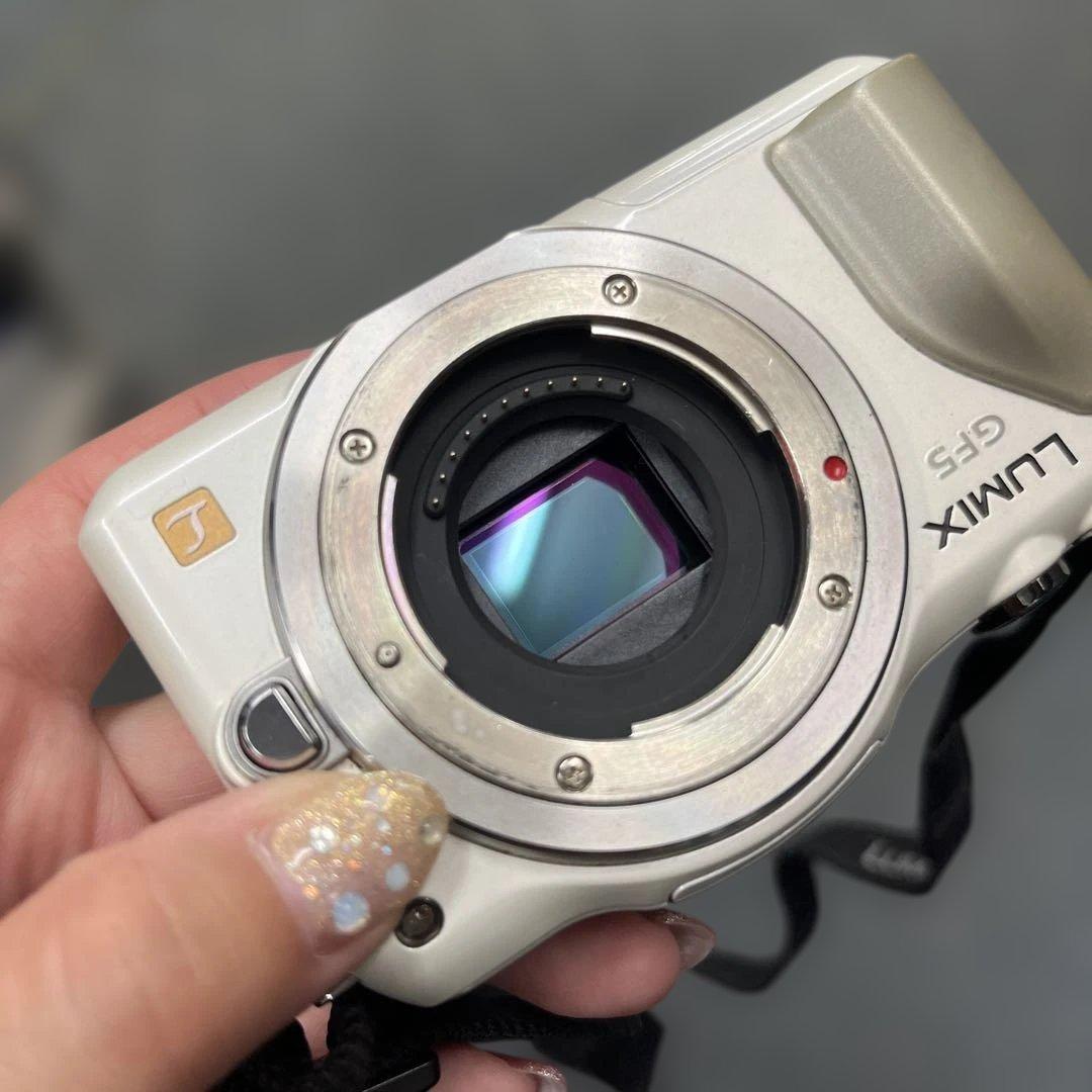 Panasonic パナソニック LUMIX DMC-GF5