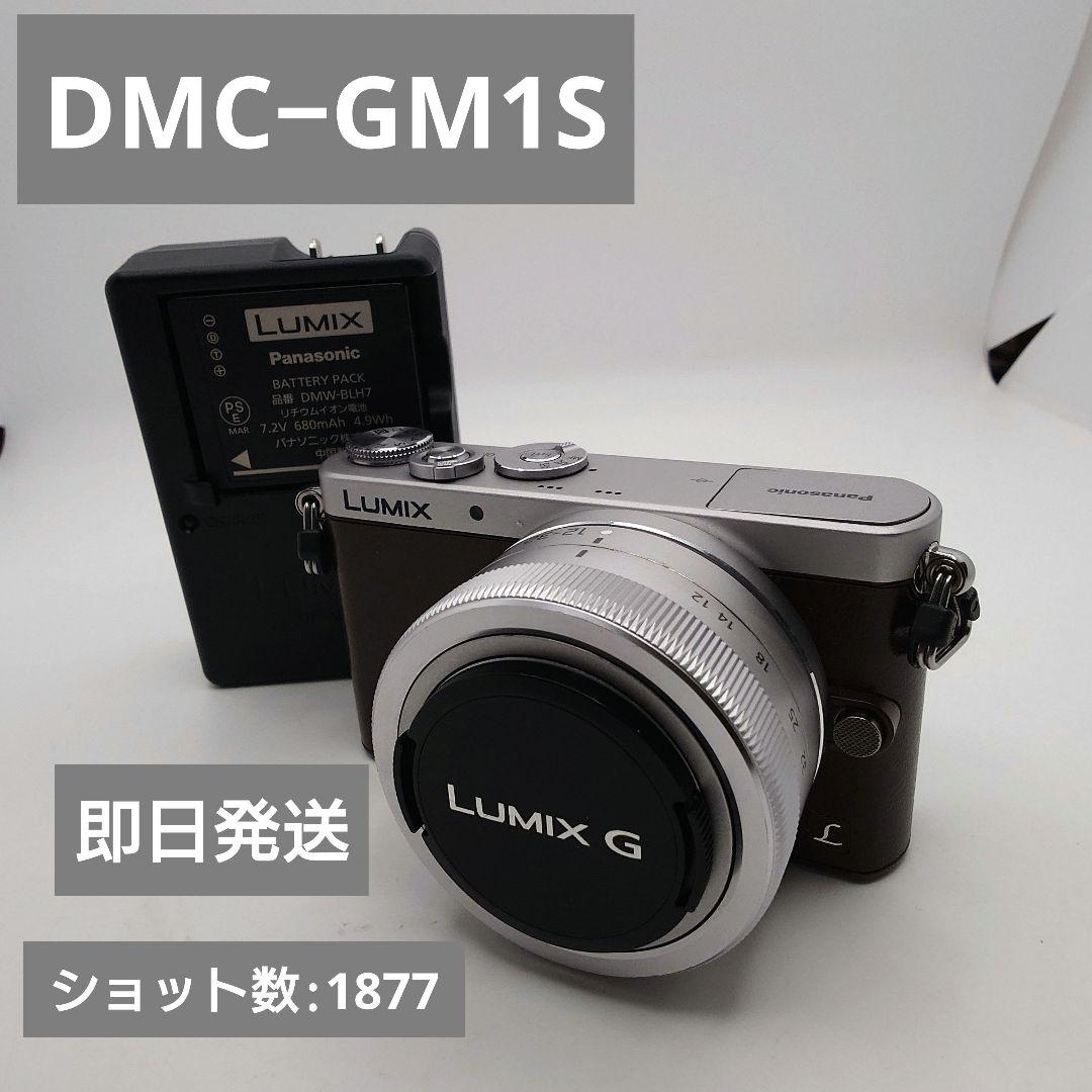 美品／ショット数1877回 Panasonic LUMIX GM1S ブラウン