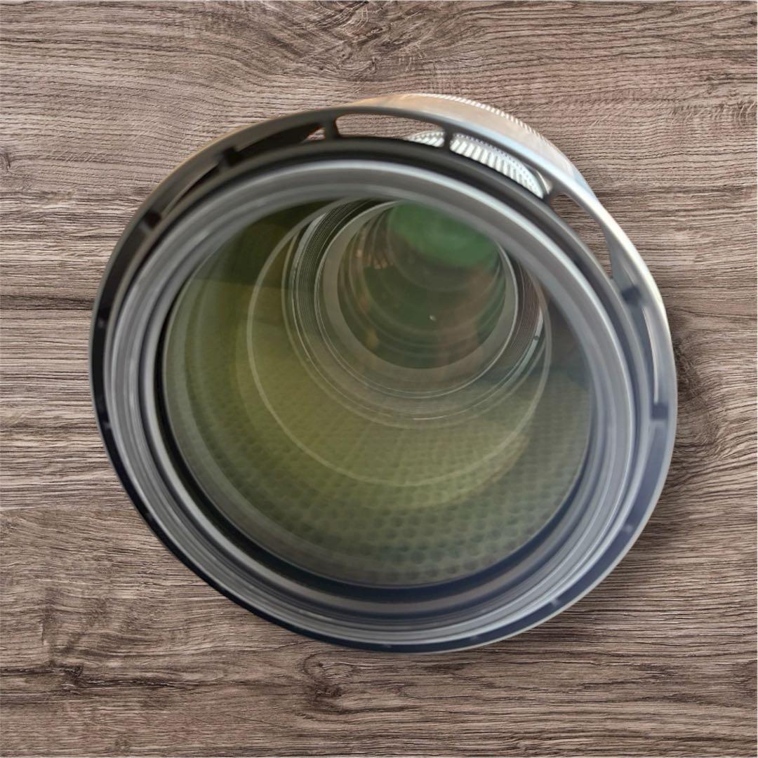 SIGMA 150-600mm F5-6.3 DG Canon EF用