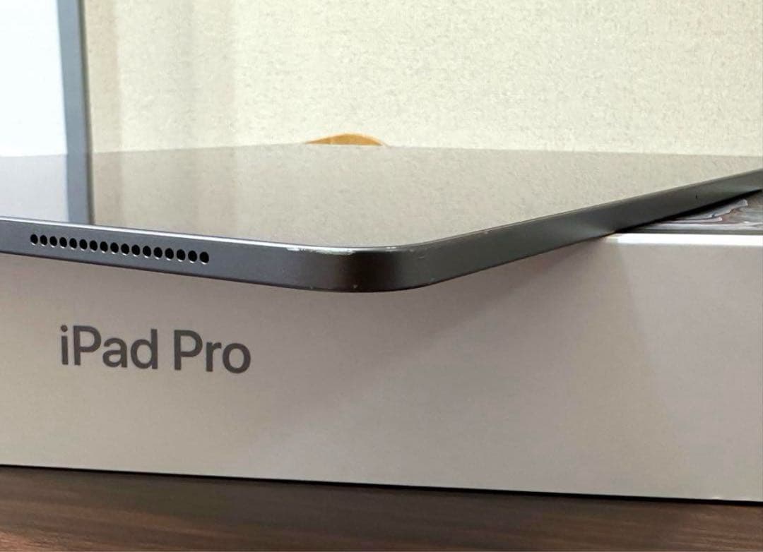 iPad Pro 12.9 256GB Wifi 第三世代