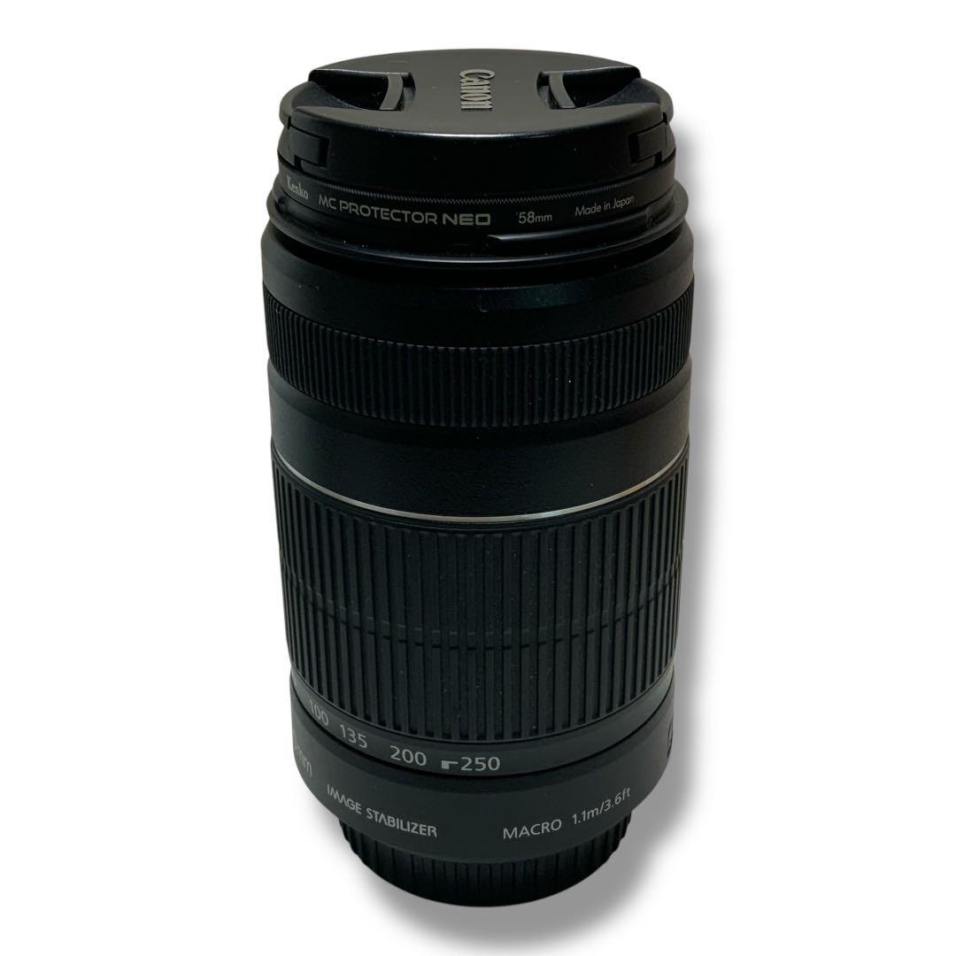 【美品】キャノン Canon EF-S 55-250mm ズームレンズ