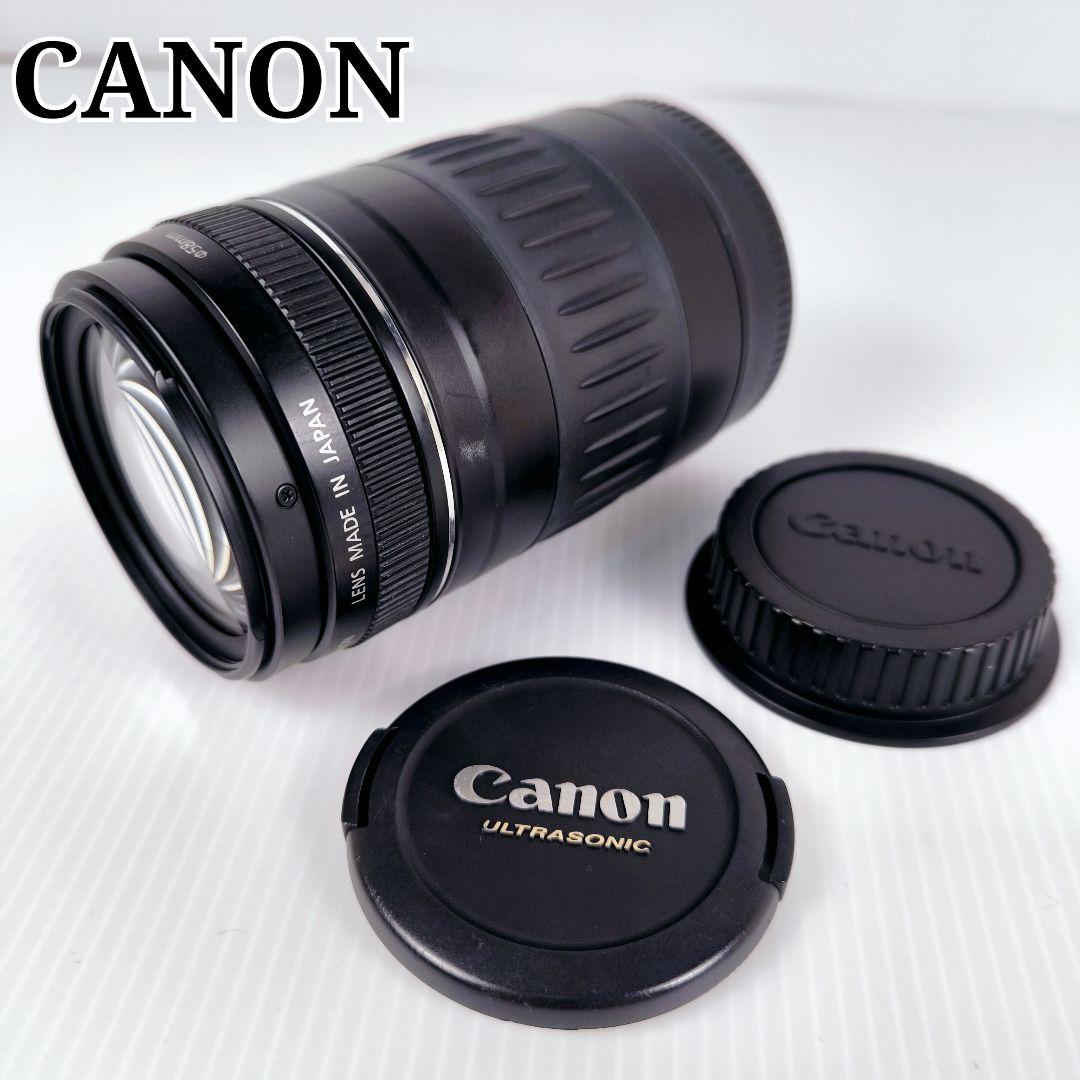 Canon EF 90-300mm F/4.5-5.6 望遠レンズ