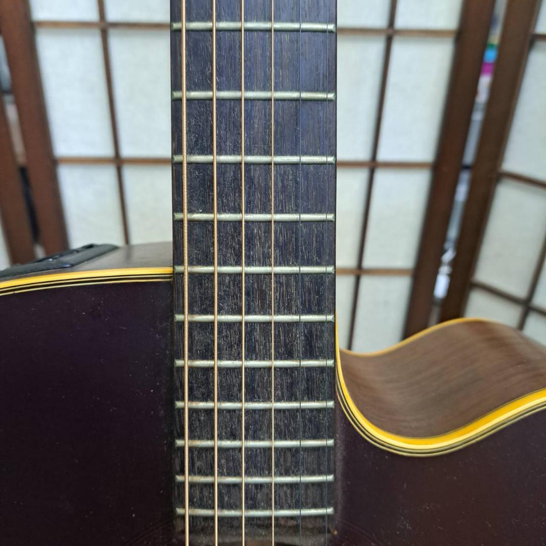 Takamine　NPT-012 BS　エレキアコースティックギター　タカミネ