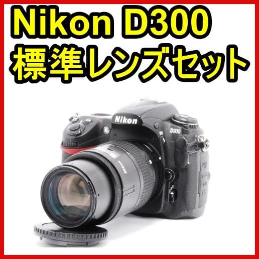 Nikon D300⭐️標準レンズセット⭐️付属品充実⭐️ハイアマチュアモデル⭐️