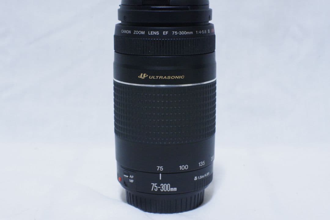 美品！ Canon EF 75-300mm f/4-5.6 III ズームレンズ