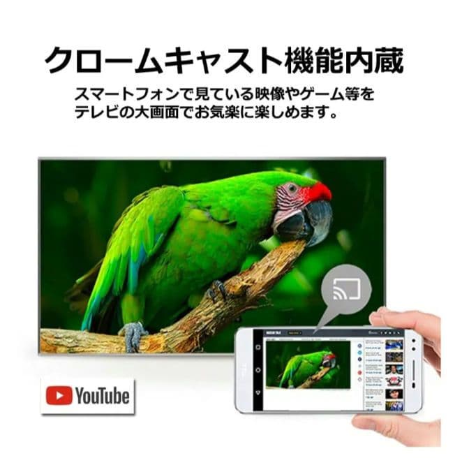 スタンダード TCL 40V型 Googleスマート テレビ 地デジ 再生品
