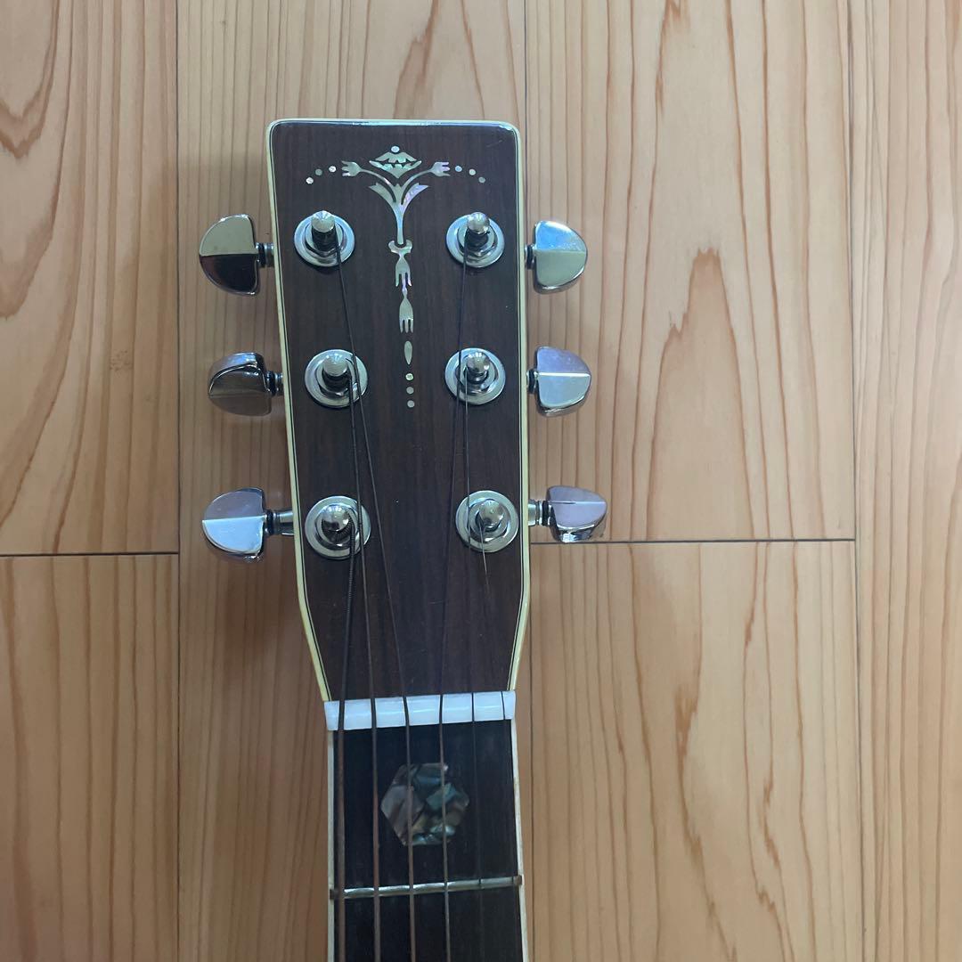 ギター Cat's-Eyes CE 450D