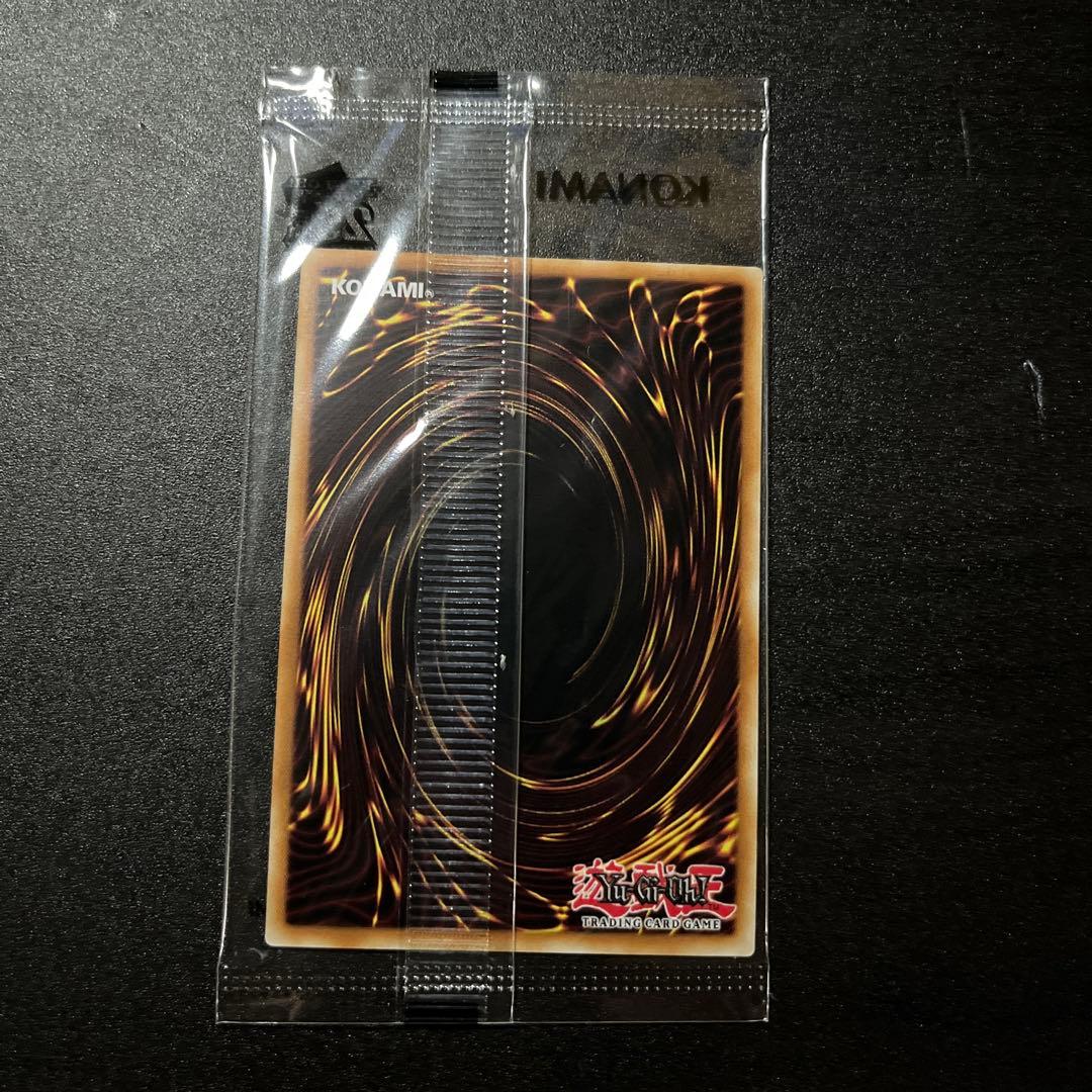 遊戯王OCG デュエルモンスターズ WCS2024