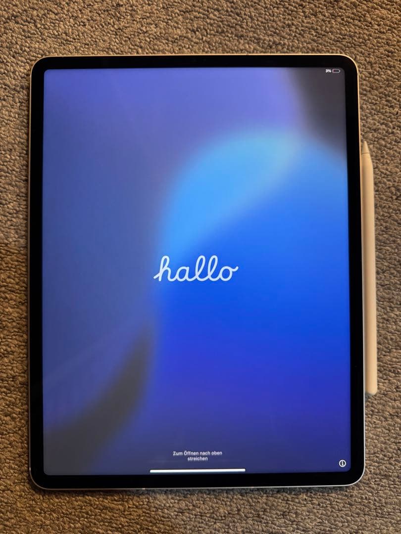 iPad Pro (第5世代) 12.9インチ 2TB セルラーSIMフリー