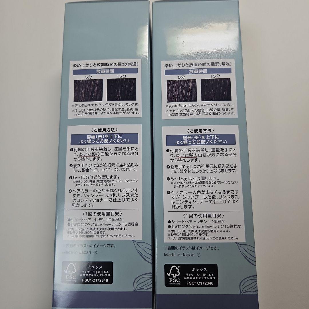 泡　白髪染め ボタニカルエアカラーフォームEX150g　ナチュラルブラック ２個