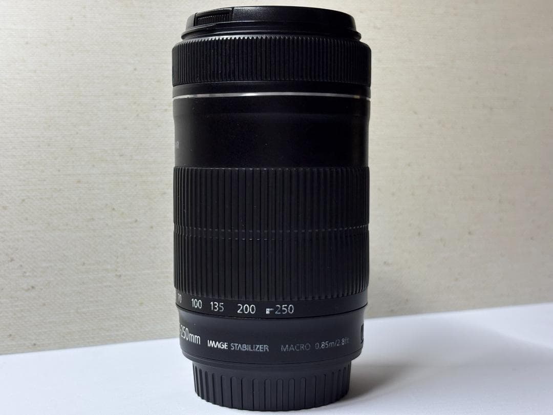 ★CANON キヤノン EF-S55-250mm F4-5.6 IS STM