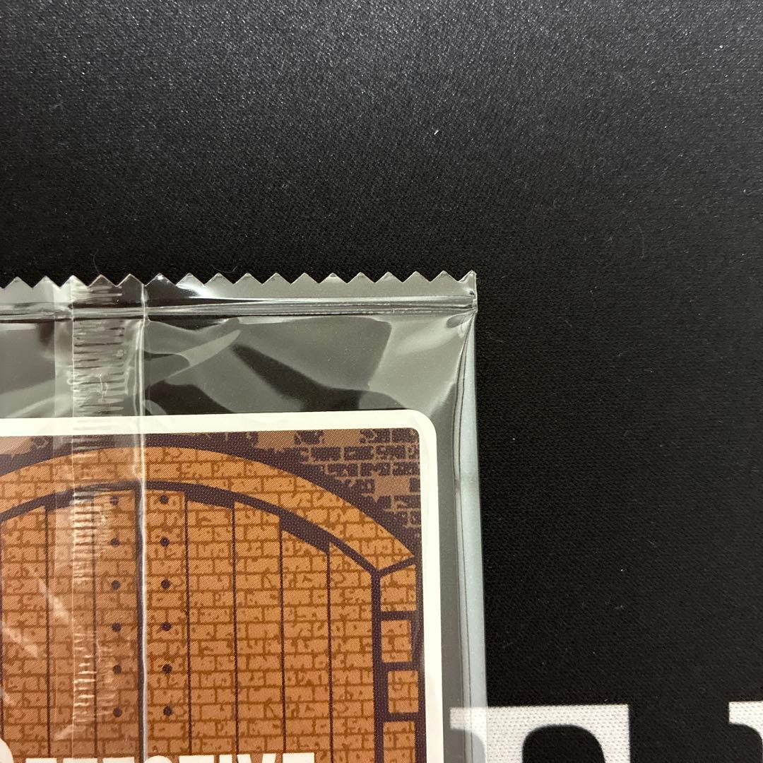 追跡あり　最安値　名探偵コナンカードゲーム　江戸川コナン　探偵マスターズ　プロモ