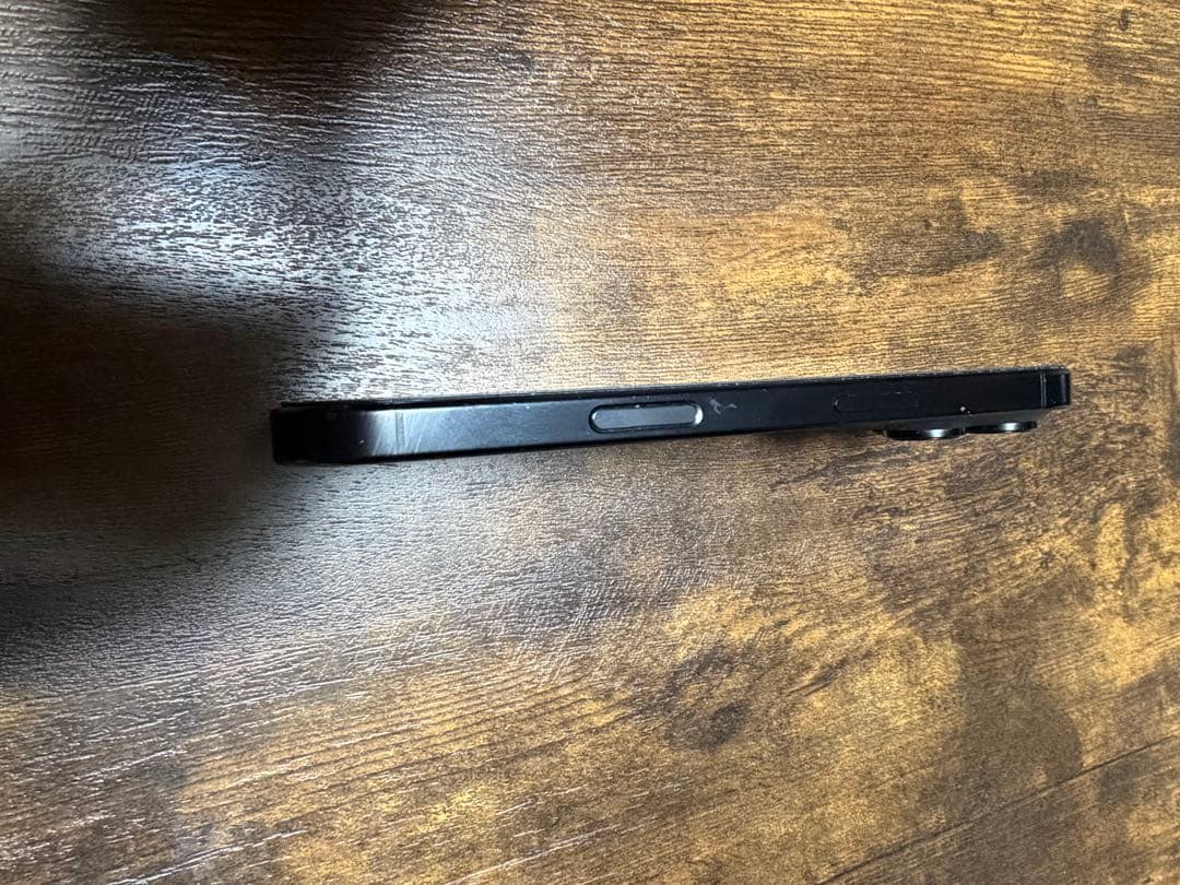 Apple iPhone 16 Pro スペースブラック ケース付き