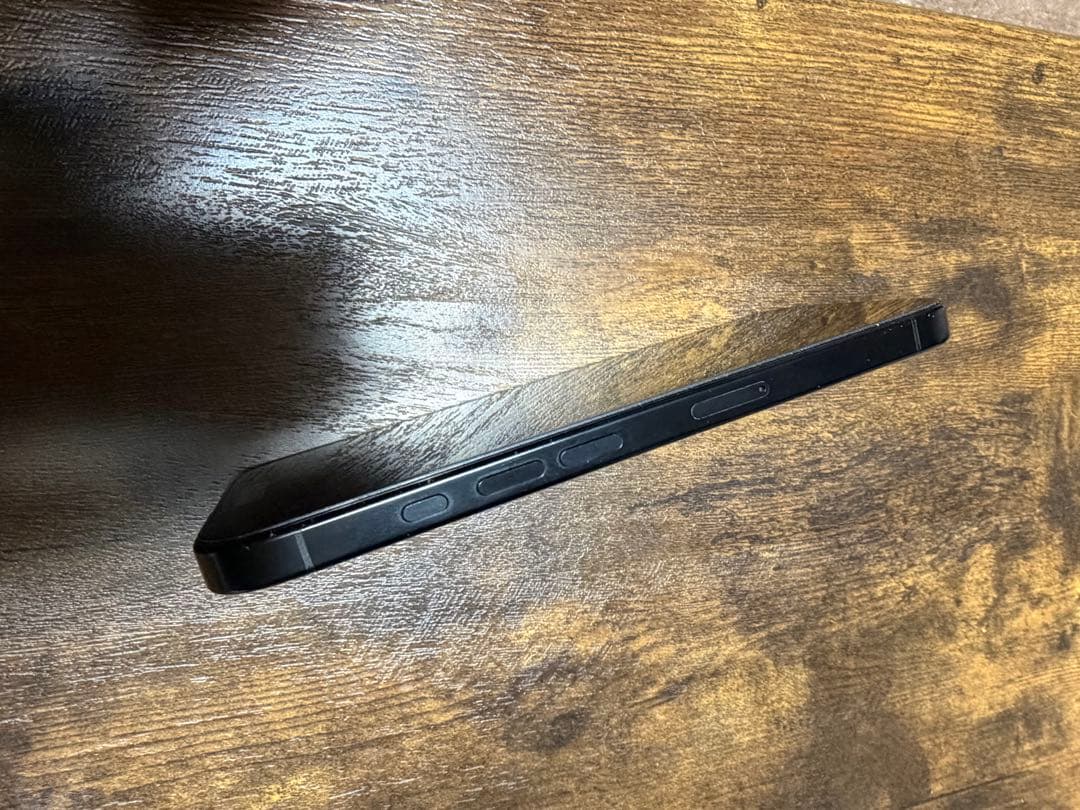 Apple iPhone 16 Pro スペースブラック ケース付き