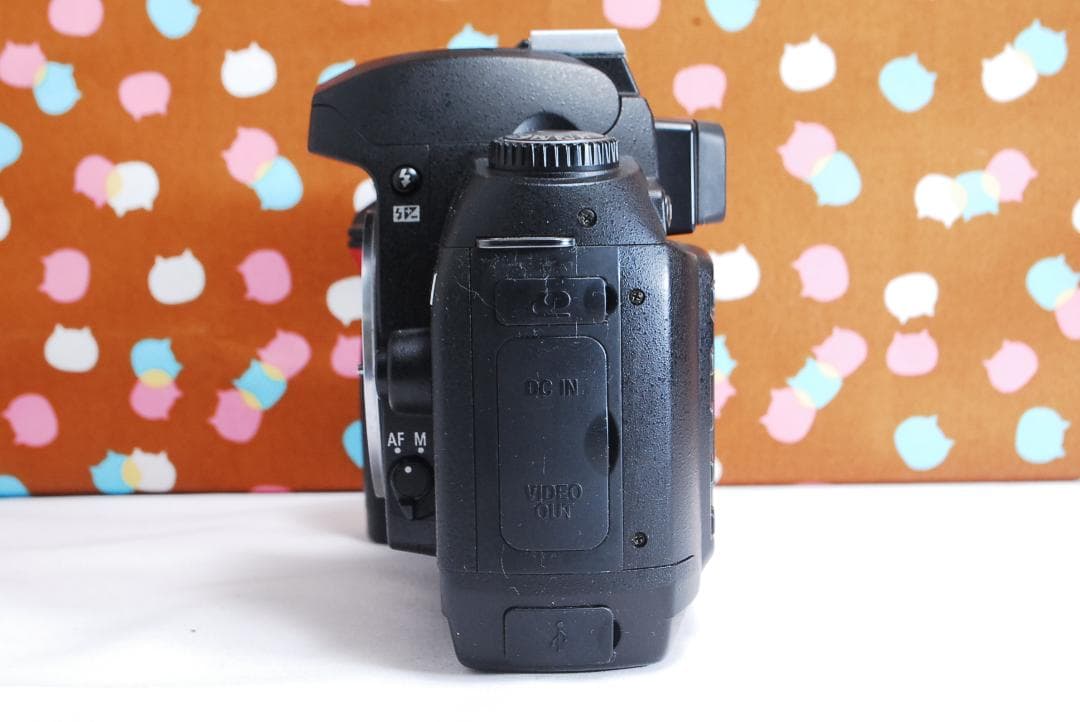 ✨ショット回数3742回✨お買い得✨Nikon D70 レンズセット