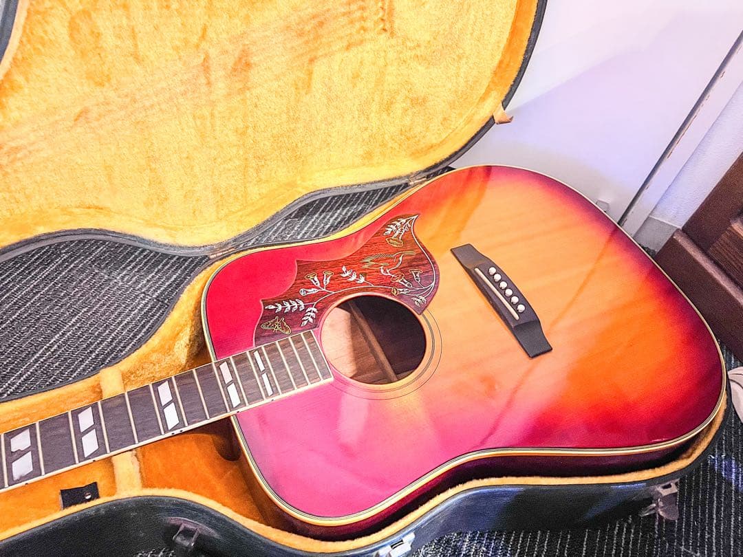 必見⭐︎希少！パールPF-250 Guitar ハミングバード ハードケース