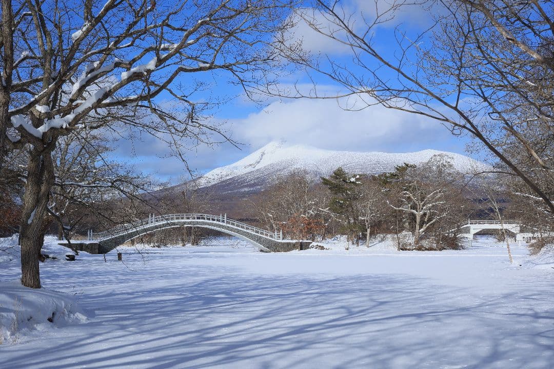 Super-Takumar 55mm F1.8 初期型 S/N：694057