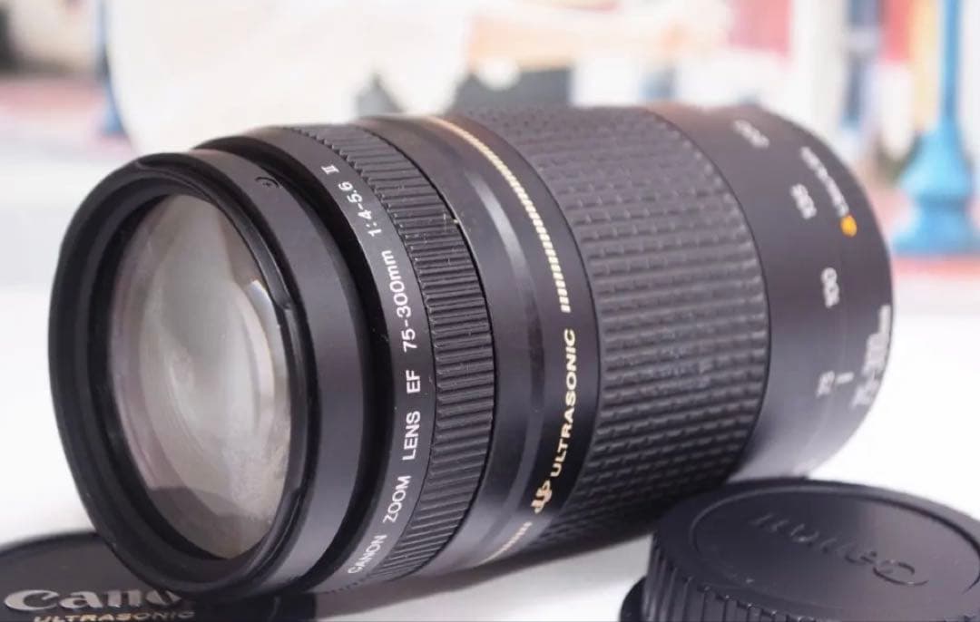 ❤️美品❤️300mm超望遠レンズ❤️ CANON EF 75-300mm