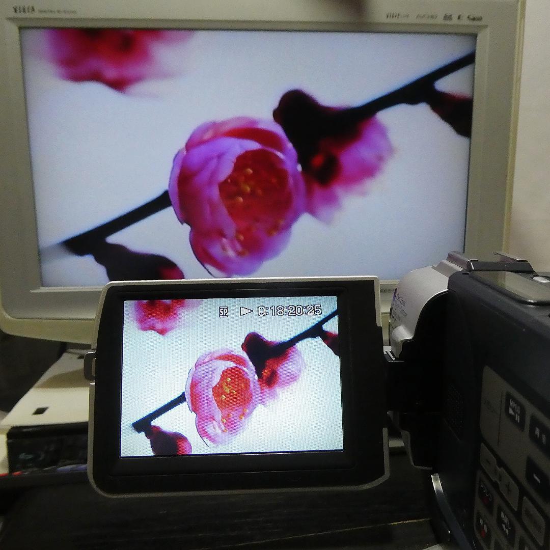 動作品 ソニーDCR-TRV107 MiniDV ビデオカメラ DVDダビングに