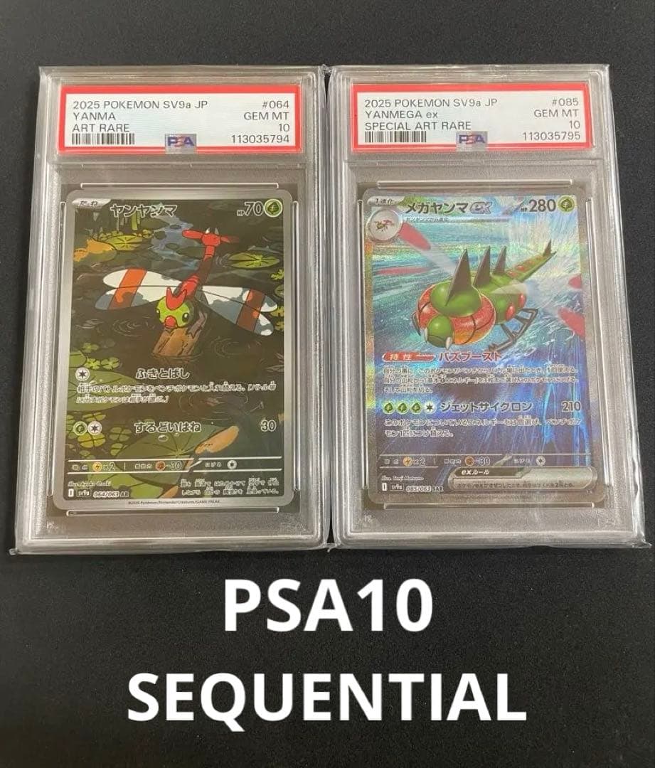 ヤンヤンマAR メガヤンマex SAR PSA10 連番