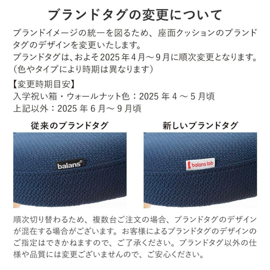 balans Easy バランスラボ ラクに姿勢を矯正できる椅子 水色