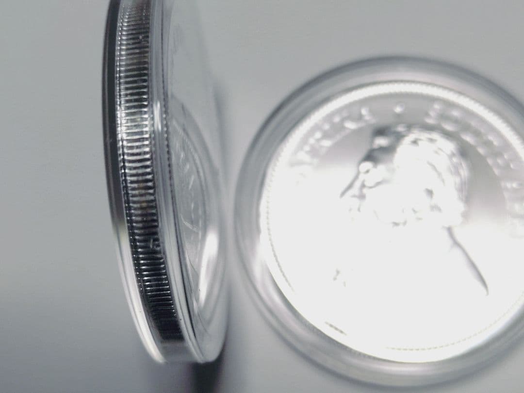 2020年製クルーガーランド銀貨2枚セットケース付き