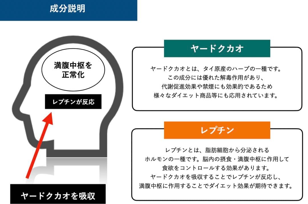 【ニコチン・タールなし】ダイエットシーシャ本体＋全7種類  フレーバー