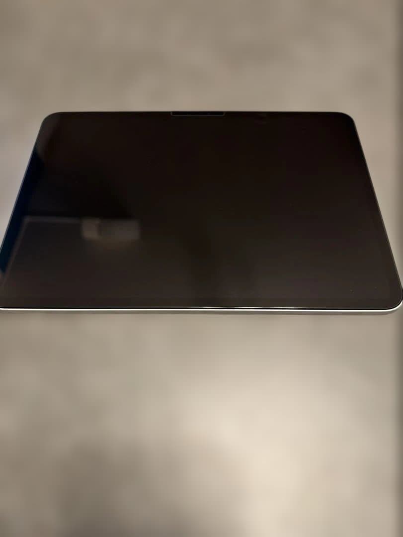 iPad Pro 11インチ　M5 (2025) Wi-Fi 256GB 美品